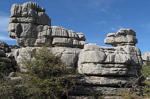 Die Felsen erinnern an Fabelwesen und Tiergestalten.